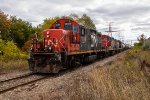 CN 7038